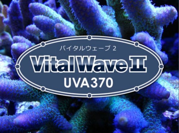 画像1: Blue Harbor　Vital Wave II ／ バイタルウェーブ2　UVA370 (1)