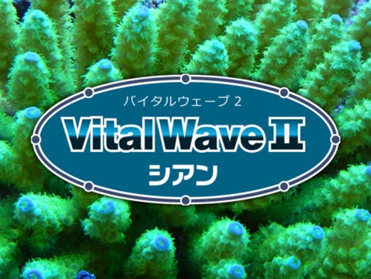Blue Harbor Vital Wave II ／ バイタルウェーブ2 シアン - AQUA LOVERS